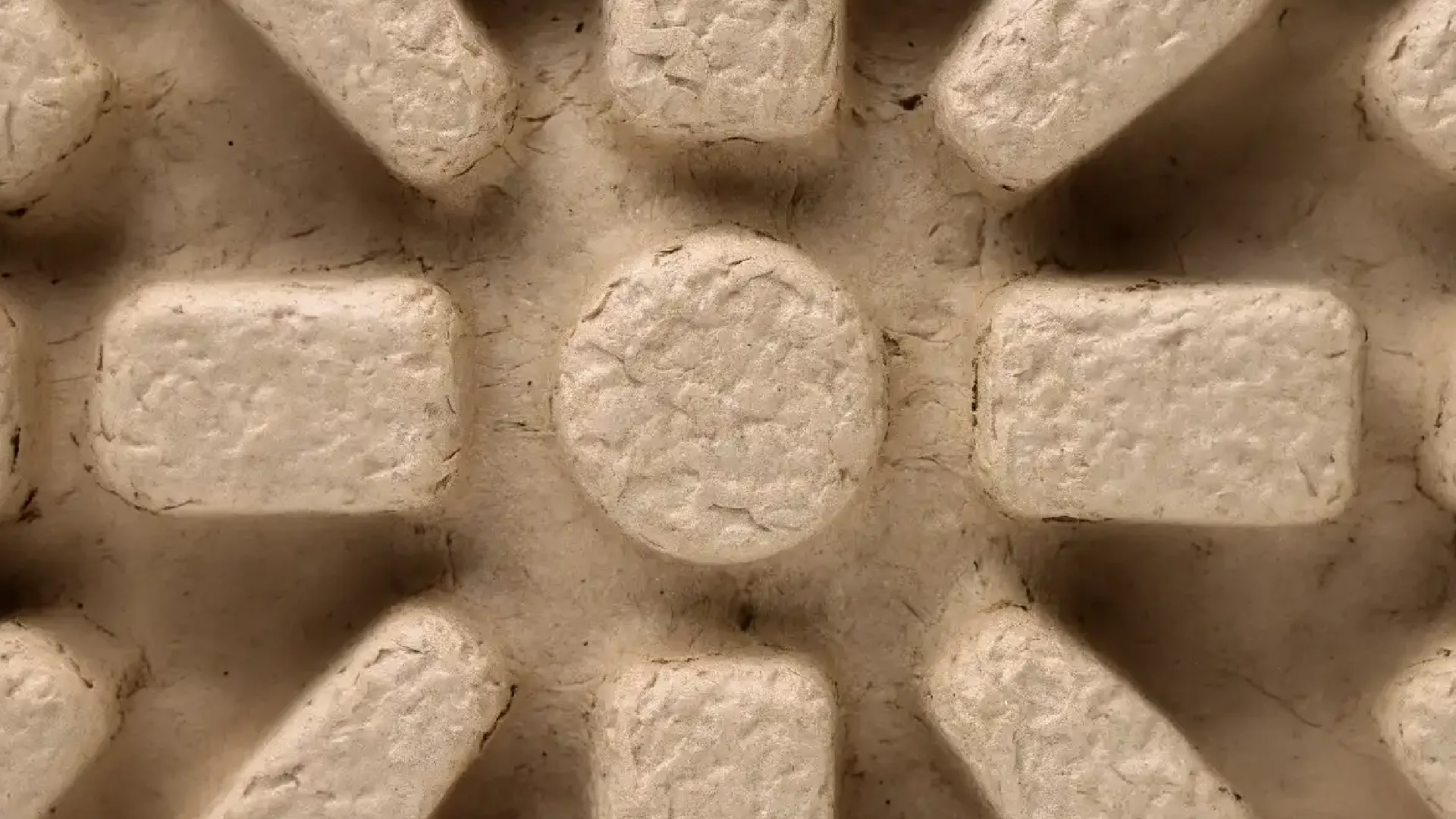 Macro shot of the moulded pulp surface, showing the recycled fibre and the ribs that lock the parts.